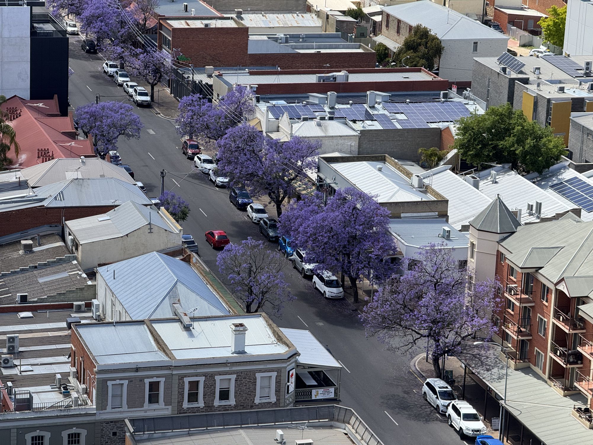 1903 / 17 Penny Place, Adelaide