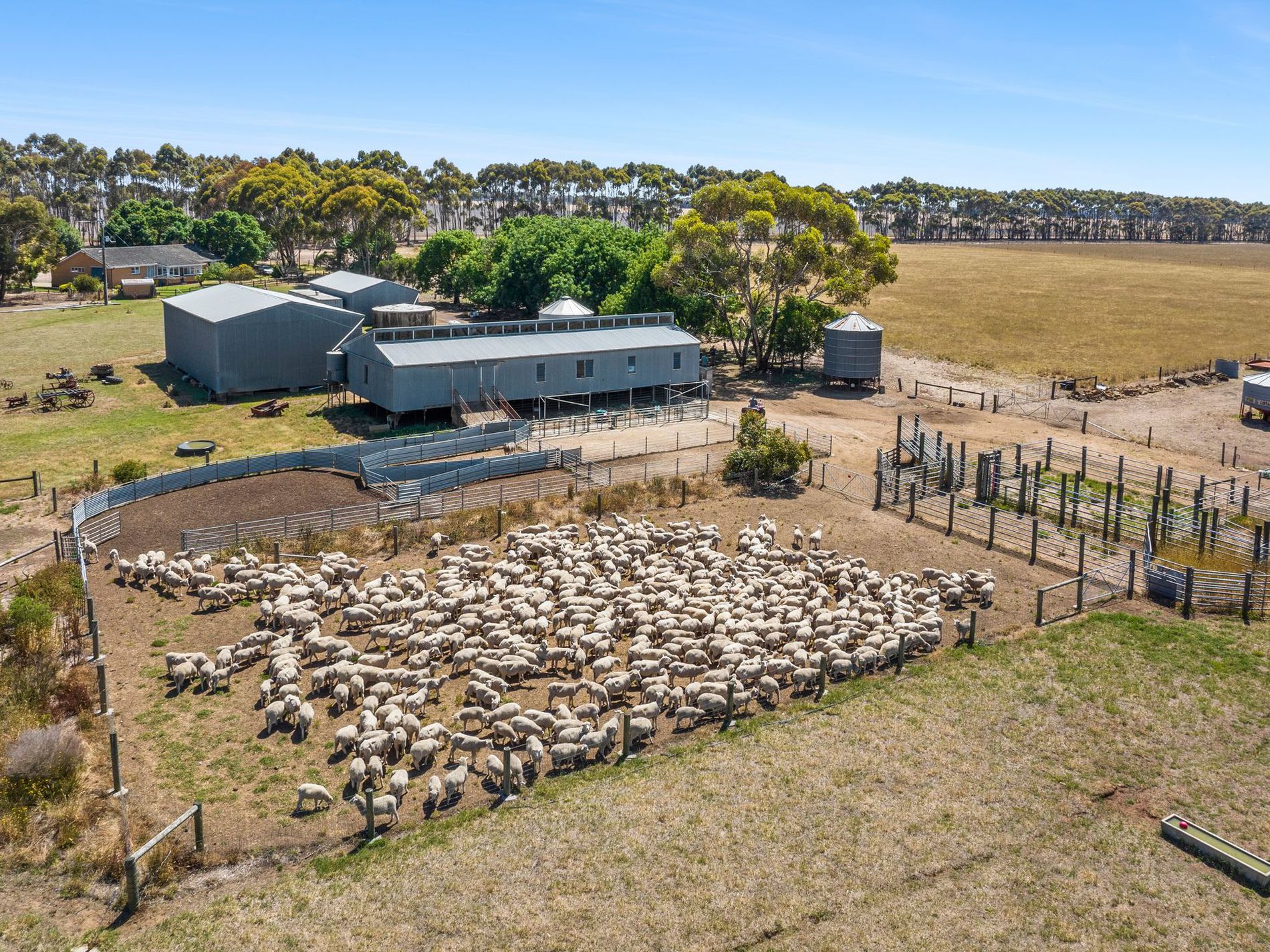 498 Four Tree Road, Lismore