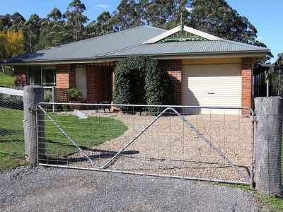476 Bugong Firetrail, Kangaroo Valley