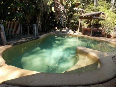 Palm Grove