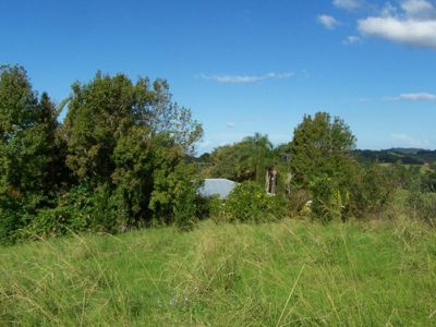 408 North Maleny, Maleny