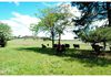151 Williams Lane, Shadforth