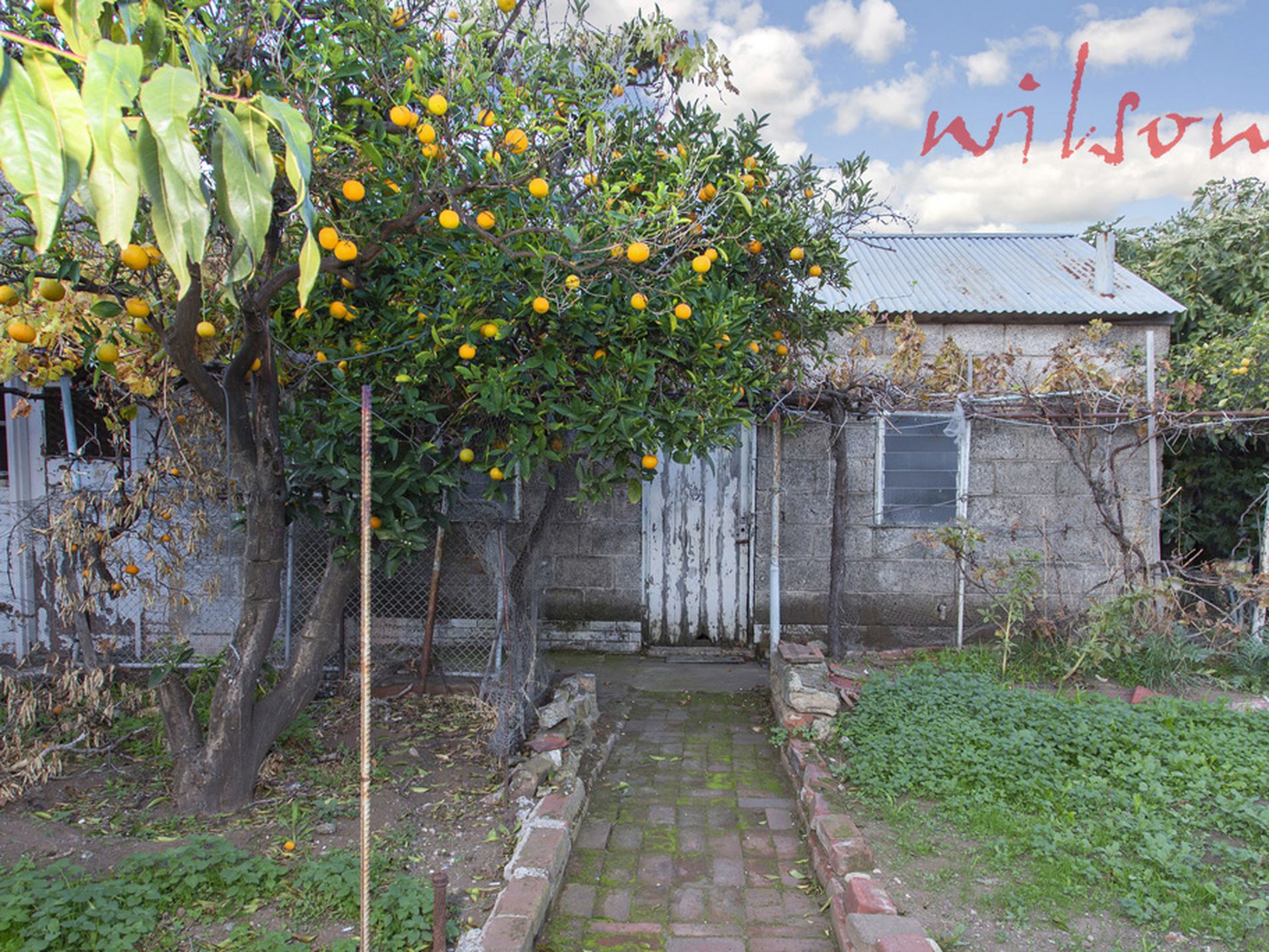 56  Hardys Road, Torrensville