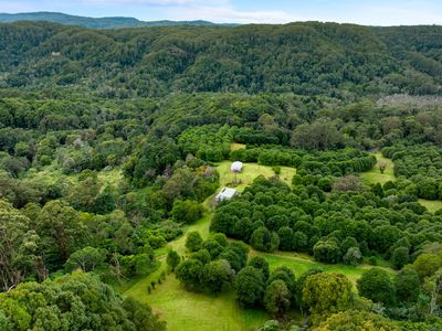 1005 TUNTABLE CREEK ROAD, Nimbin