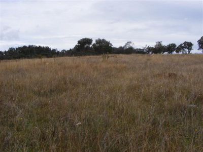 48 Cobb Way, Woodstock