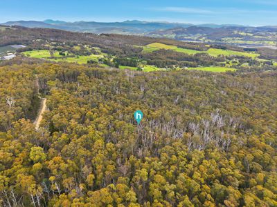 Lot 1, Kellys Road, Cradoc