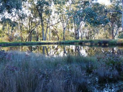 Lot 2 Fanning Lane, Wooragee
