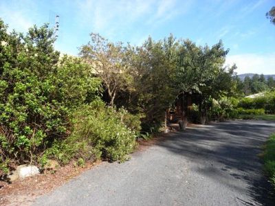 26 Jenanter, Kangaroo Valley