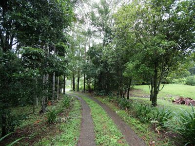 Terania Creek