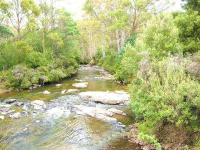 1 Field Road, Lonnavale