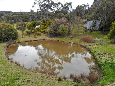 1310 Old Tolmie Road, Tolmie