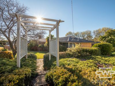 72 Heron Street, Glen Innes