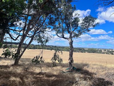 174 Talbot Hall Road, Talbot