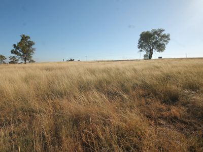 3 Prices Lane, Merriwa