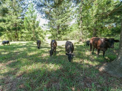 357 Stony Chute Road, Nimbin