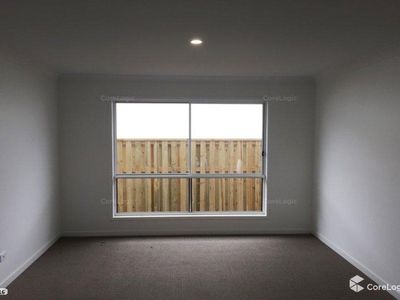 25 Bottle Brush Circuit, Coomera