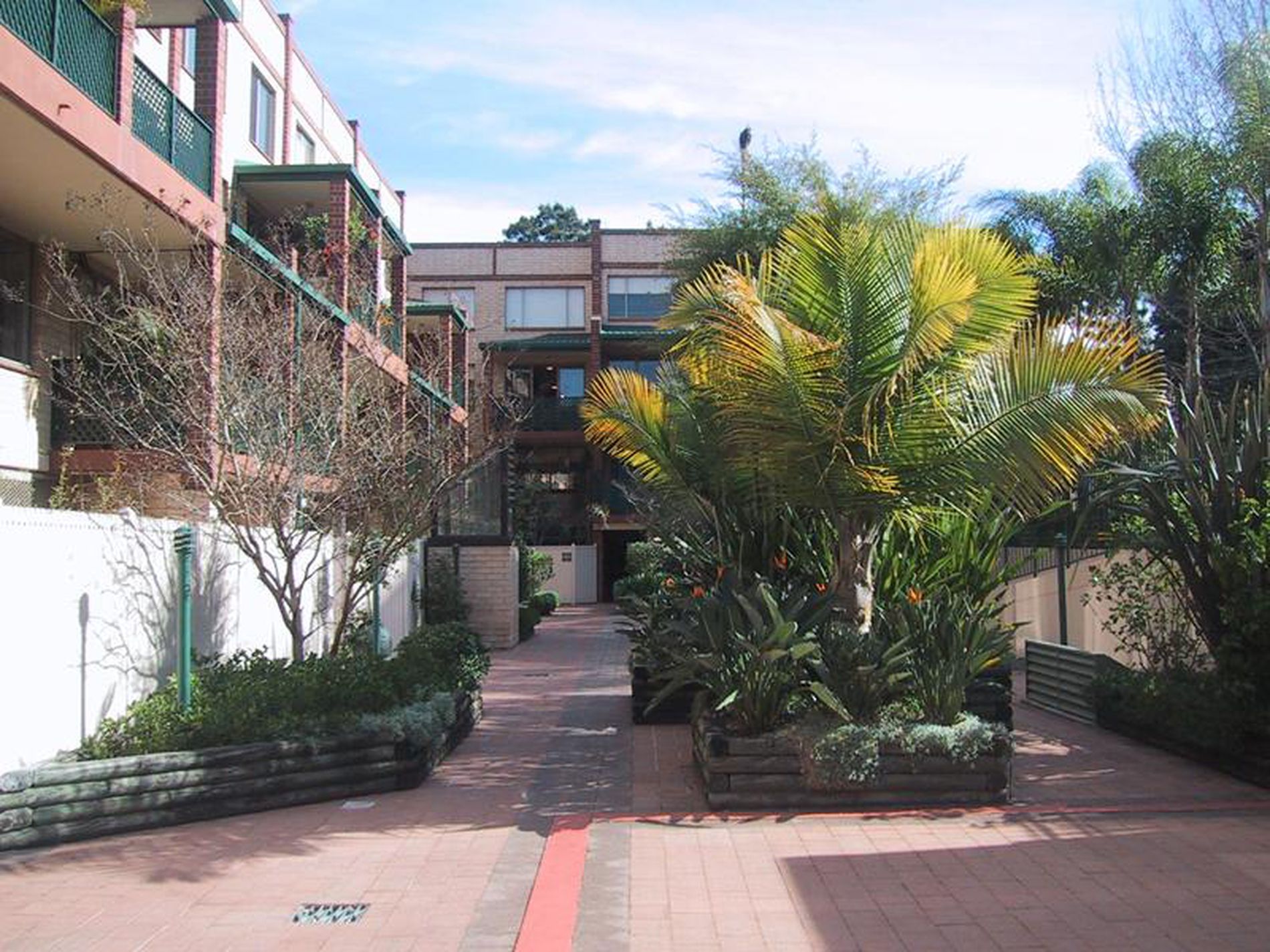 29 / 3 Olivia Lane, Surry Hills