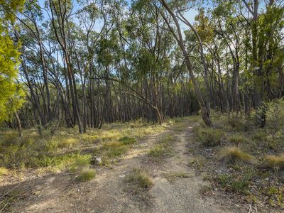 38 Nalya Court, Drummond North