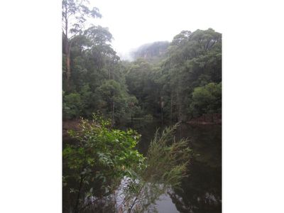 515 Tallowa Dam Road, Kangaroo Valley