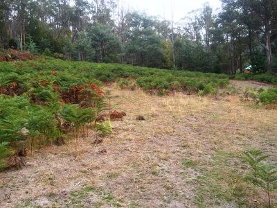 Lot 16 Waggs Gully Road, Ranelagh