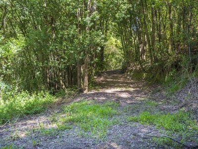 80 Robb Road, Lillian Rock