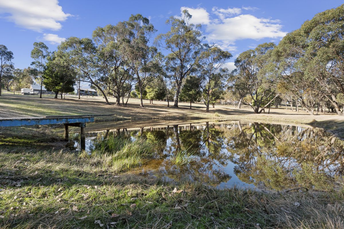 28 Bushland Close, Tolmie