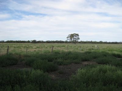 Capels Crossing