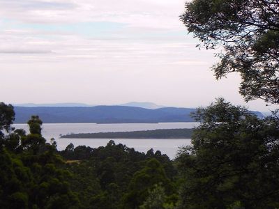 Dulcia Road, Gordon