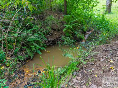 2210 Nimbin Road, Coffee Camp