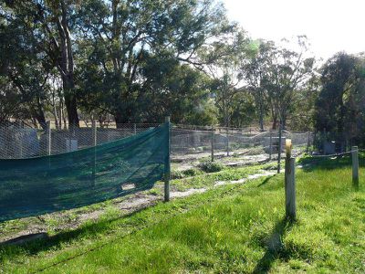 85 Coleraine Road, Horsham
