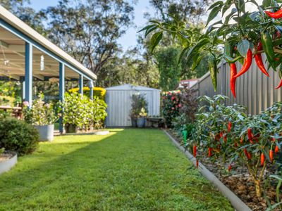 36 Kingsford Drive, Brunswick Heads