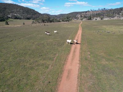 1950 FLAGGS ROAD, Gungal