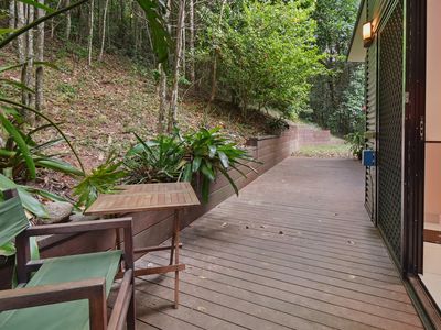 31 Lum Jim Street , Redlynch