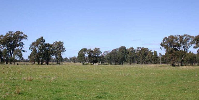 1170 Shepparton-Euroa Road, Euroa