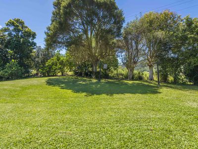 2394 NIMBIN ROAD, Nimbin