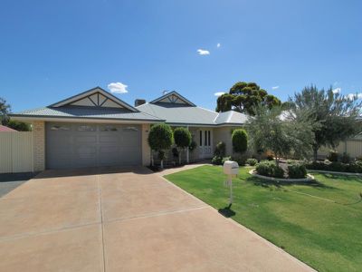 17 Vitali Crescent, Somerville