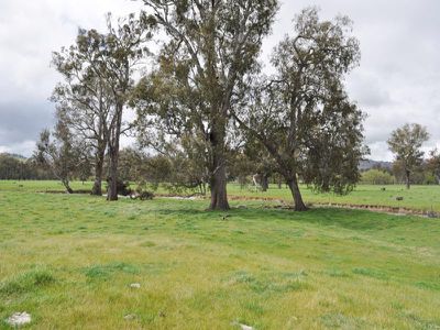 Snowdons Road, Bonegilla