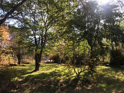 2808 Mansfield-Whitfield Road, Tolmie