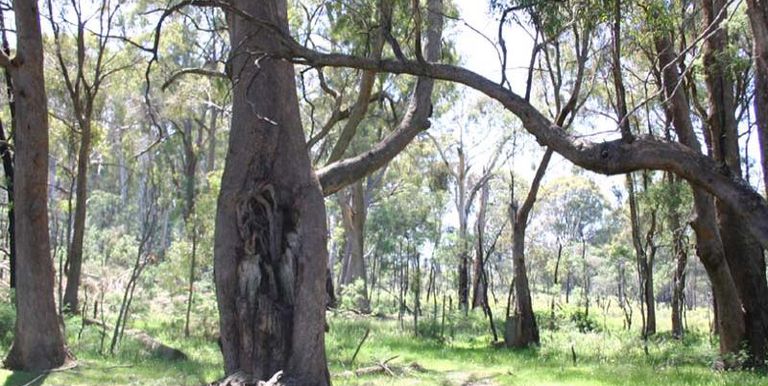 Strathbogie