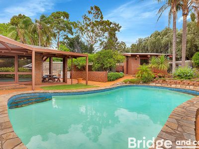 16 John Cleland Drive, Beaumont