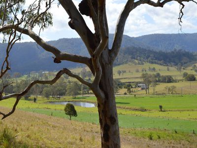62 Scrubby Creek Road, Maleny