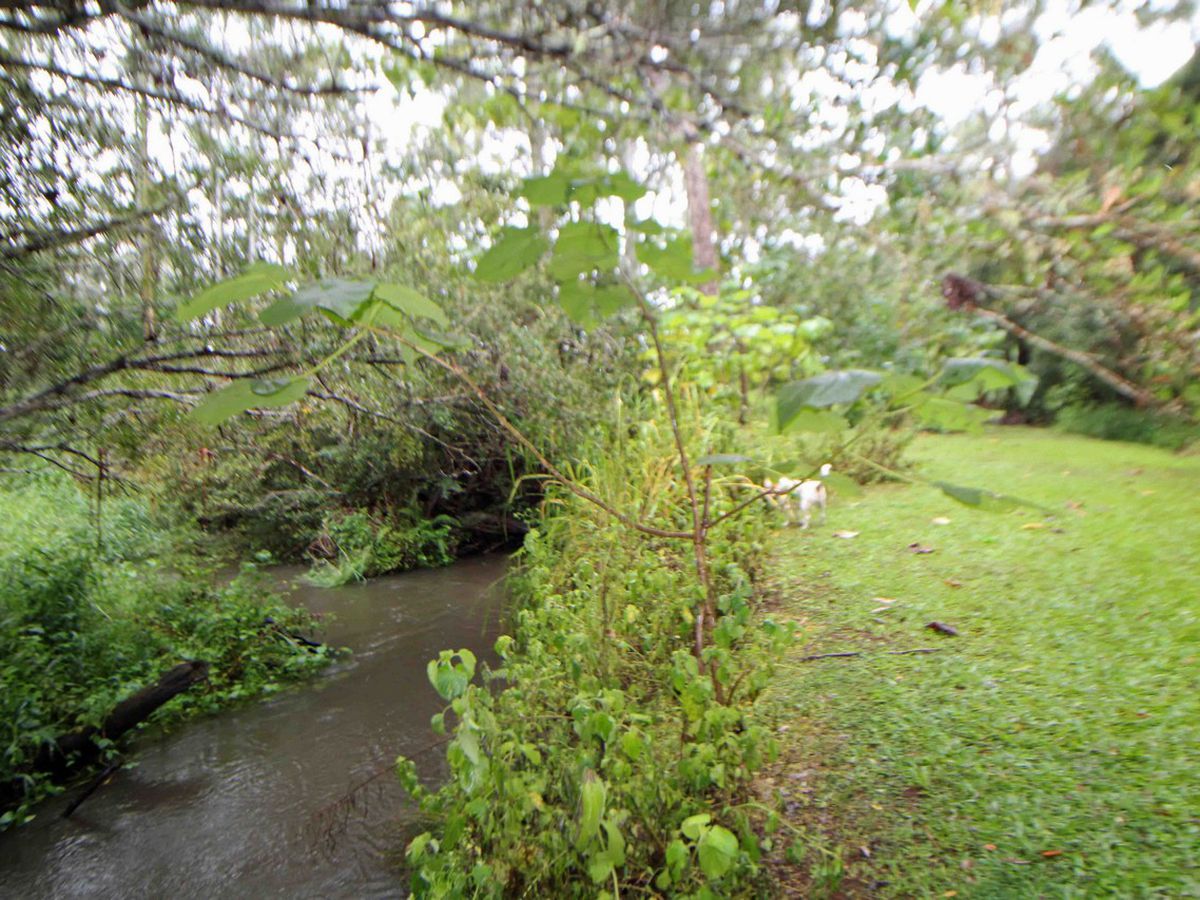 Ravenshoe