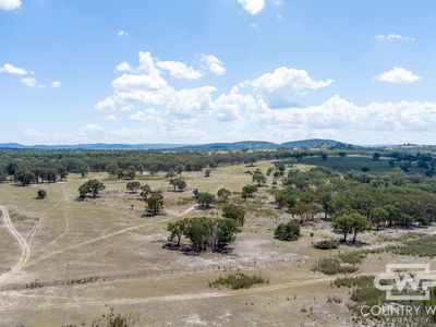 Lot 7, - Emmaville Rd, Emmaville