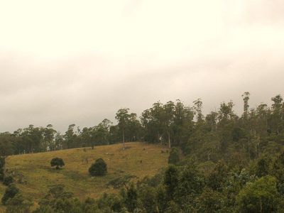 MT / Barrow Road, Nunamara