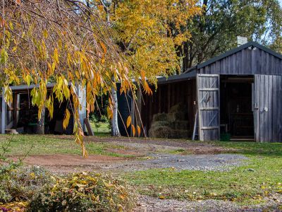 1085 Tabletop Road, Tolmie
