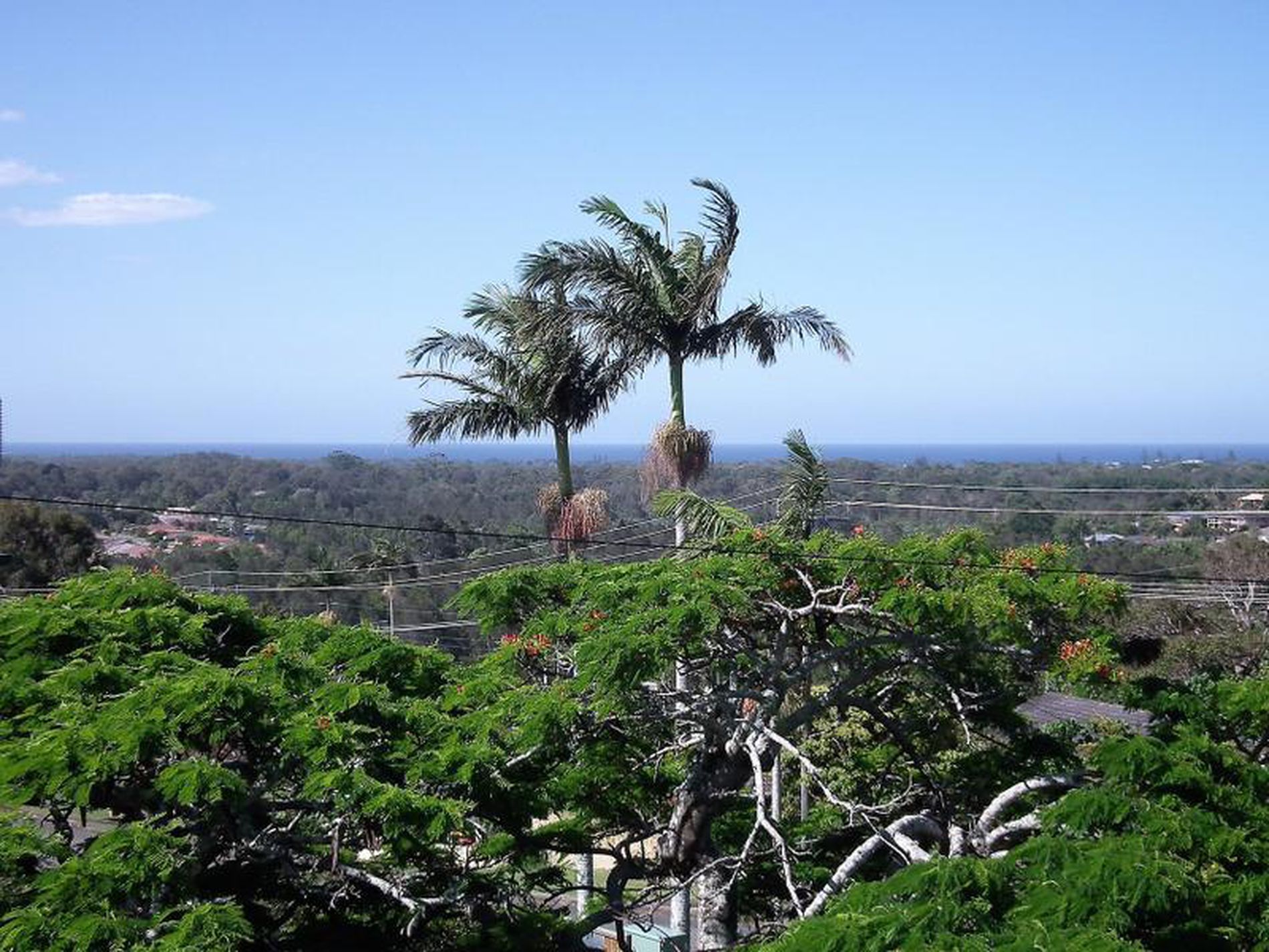 1 / 25 Pioneer Parade, Banora Point