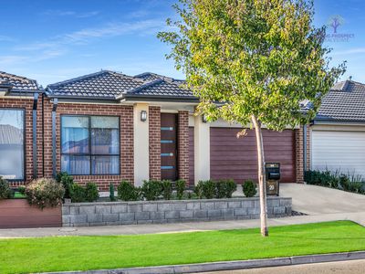 20 Wolin Drive, Tarneit