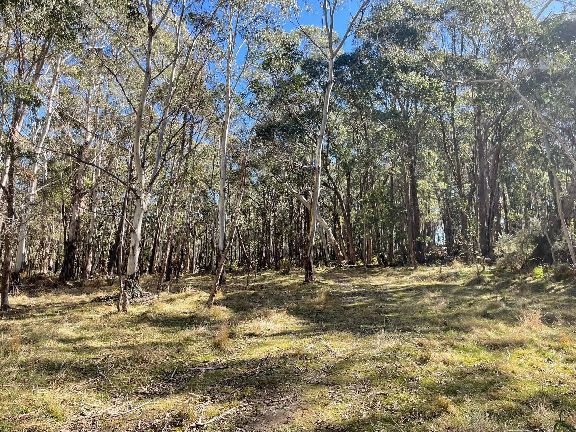 681 Hereford Hall Road, Hereford Hall via, Braidwood