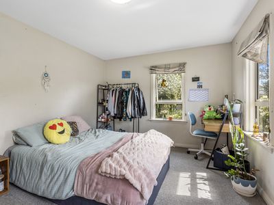 3 Barlow Street, Ilam