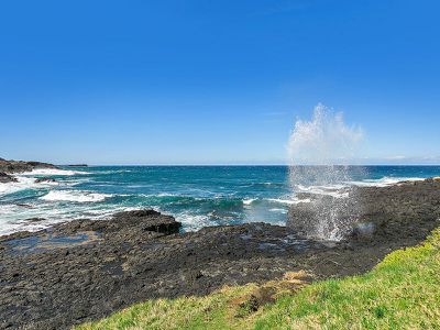 22 Tingira Crescent, Kiama